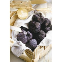 Truffes noires morceaux 25g