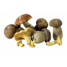Garniture forestière - par 1 kg