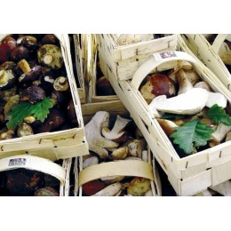 Garniture forestière - par 1 kg