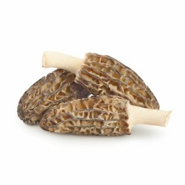 Morilles entières Extra - par 500 g
