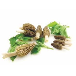 Brisures de morilles - par 1 kg