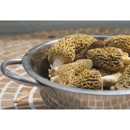 Brisures de morilles - par 1 kg