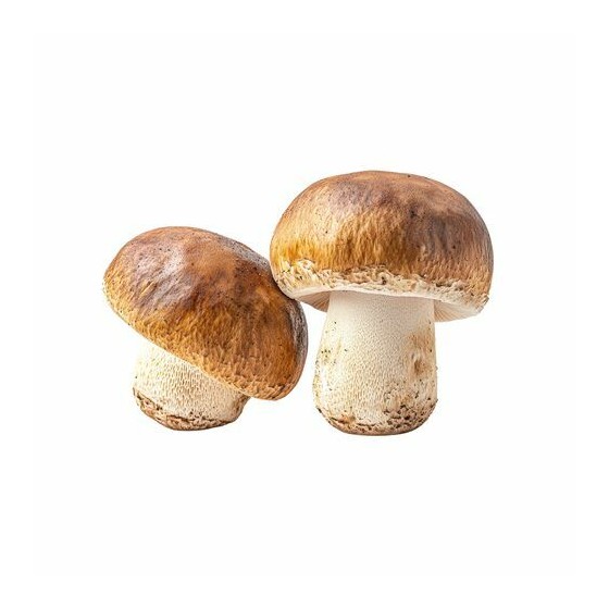 Cèpes entiers - par 500 g Cèpes entiers - par 500 g