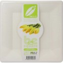 Assiette carrée bio 26 cm en bagasse - par 50