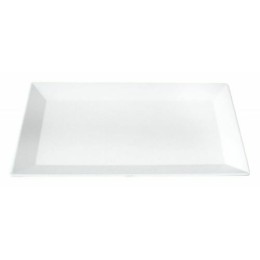 Plat glacière mélamine blanc 35x16,5x2 cm