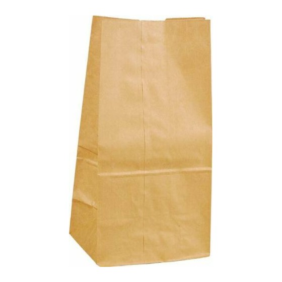 Sac kraft brun 400x200+160mm/500