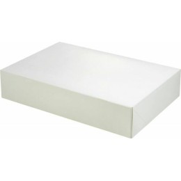 Boite traiteur blanche 29x20x6cm /25