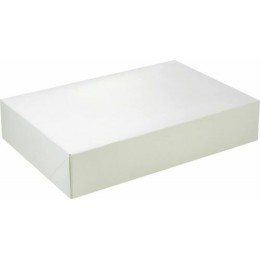 Boite traiteur blanche 42x28x6cm /25