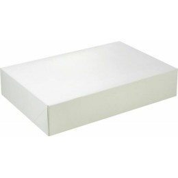 Boite traiteur blanche 29x20x6cm /25