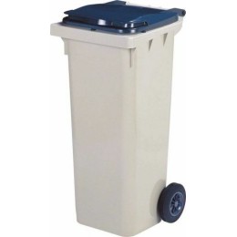 Poubelle sur roues plastique gris 120L