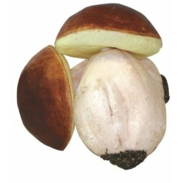 Champignon factice - par 2