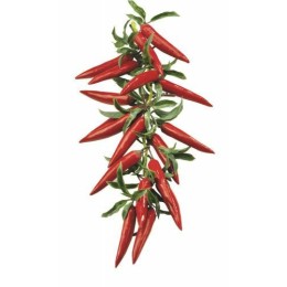 Chapelet de piments rouges 57cm
