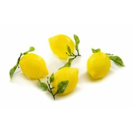 Citron factice - par 12