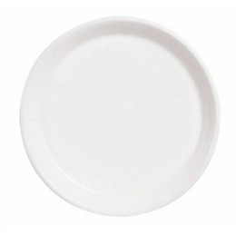 Assiette plate régithermie ø23cm /6