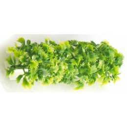Barrette blanche garniture persil double L.25cm/6