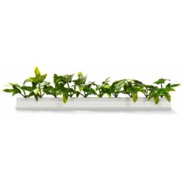 Barrette blanche lierre vert L.25cm/12