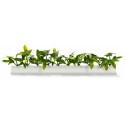 Barrette blanche lierre vert 25 cm - par 12