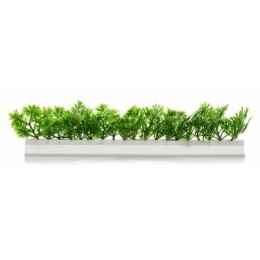 Barrette blanche persil 25 cm - par 12