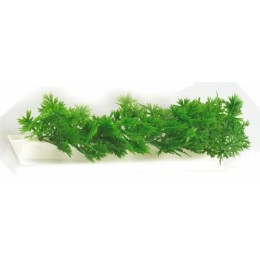 Barrette blanche sapin 25 cm - par 12