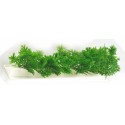 Barrette blanche sapin 25 cm - par 12