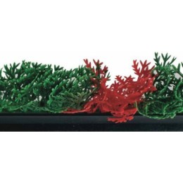 Séparateur vitrine cyprès vert et rouge noir 75 x 7 cm