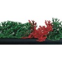 Séparateur vitrine cyprès vert et rouge noir 75 x 7 cm