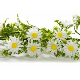 Guirlande marguerite blanche 270cm