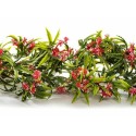 Guirlande fleur passion 270 cm