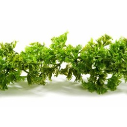 Guirlande persil frisé 270 cm