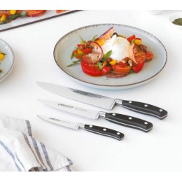 Couteau chef Riviera 20 cm