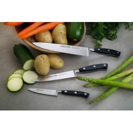 Couteau chef Riviera 25 cm