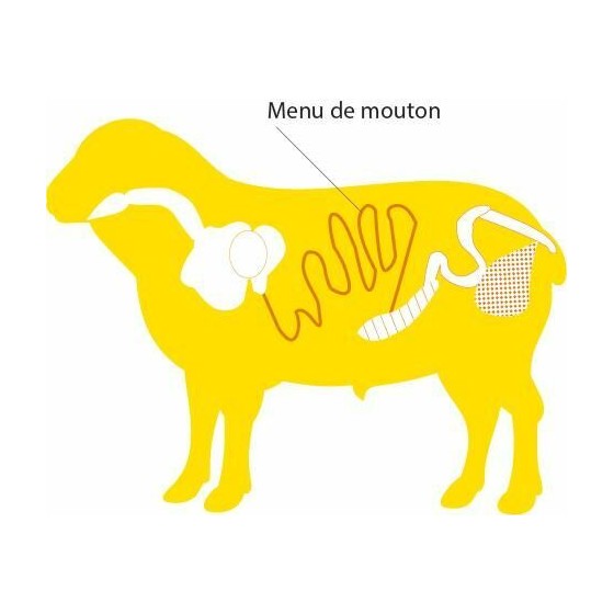 Boyau de mouton sur tube Bo'vite 24/26 AB 90 m - par 5 Boyau de mouton sur tube Bo'vite 24/26 AB 90 m - par 5