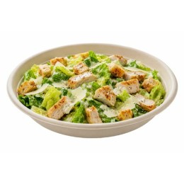 Saladier bagasse rond 75 cl 21cm - par 75