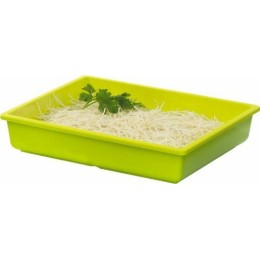 Bac vestah gazon-anis GN 1/2 H. 6,5cm