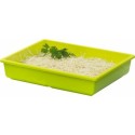 Bac vestah gazon-anis GN 1/2 H. 6,5cm