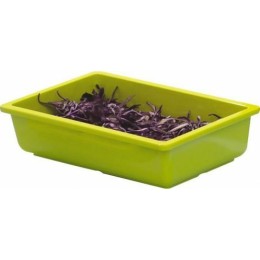 Bac vestah gazon-anis GN 1/3 H. 6,5cm