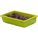 Bac vestah gazon-anis GN 1/3 H. 6,5cm
