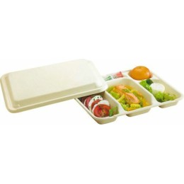 Plateau repas 5 compartiments en bagasse 29,5 x 24 x 4 cm - par 50
