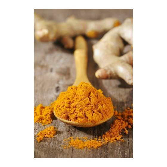 Curcuma pulvérisé - par 1 kg Curcuma pulvérisé - par 1 kg