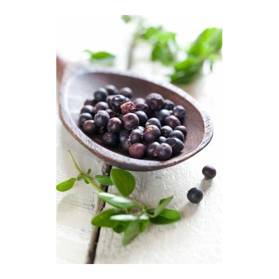 Genièvre pulvérisée - par 1 kg Genièvre pulvérisée - par 1 kg