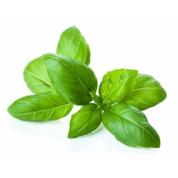 Basilic entier en sac de 1kg