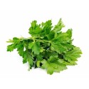 Cerfeuil entier - par 1 kg