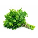 Persil entier - par 1 kg