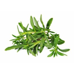 Sarriette entière - par 1 kg
