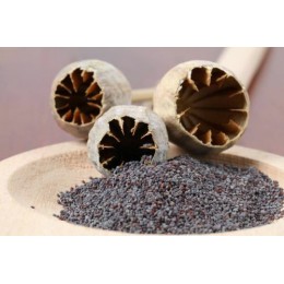 Pavot graine - sac de 1 kg