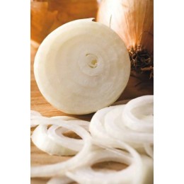 Oignon émincé bio / 400g