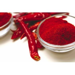 Extrait de paprika Liquide - par 1 kg