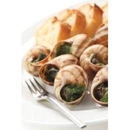 Coquilles Vides d'Escargot - par 72