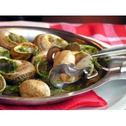 Escargots de Bourgogne BOVIDA 465g 12DZ