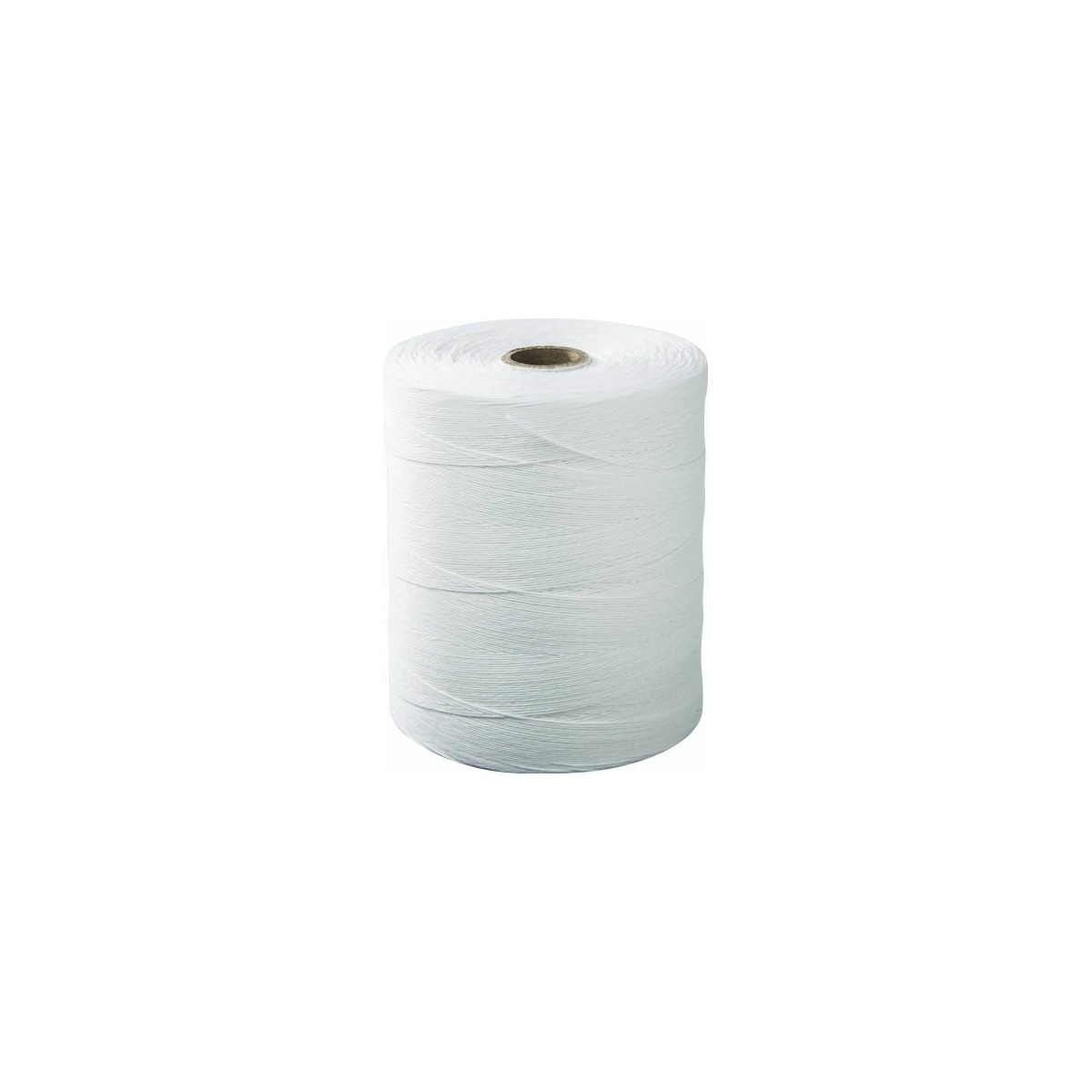 Ficelle Raphia Polypropylène 2 Kg - Blanc - Marque Corderie Italiane